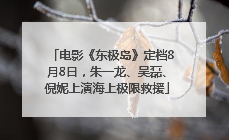 电影《东极岛》定档8月8日，朱一龙、吴磊、倪妮上演海上极限救援