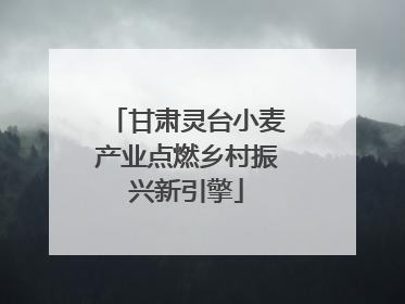甘肃灵台小麦产业点燃乡村振兴新引擎