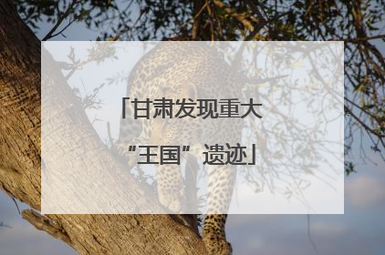 甘肃发现重大“王国”遗迹