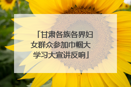 甘肃各族各界妇女群众参加巾帼大学习大宣讲反响