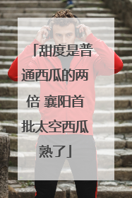 甜度是普通西瓜的两倍 襄阳首批太空西瓜熟了