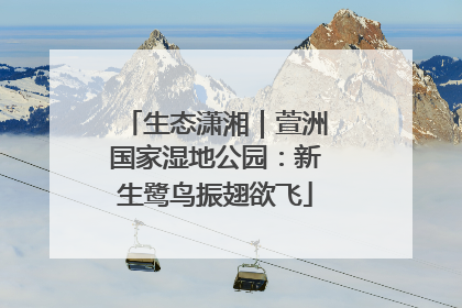 生态潇湘｜萱洲国家湿地公园：新生鹭鸟振翅欲飞