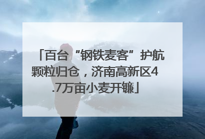 百台“钢铁麦客”护航颗粒归仓，济南高新区4.7万亩小麦开镰