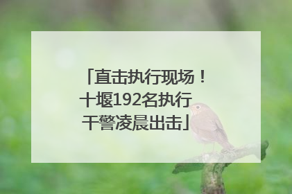 直击执行现场！十堰192名执行干警凌晨出击