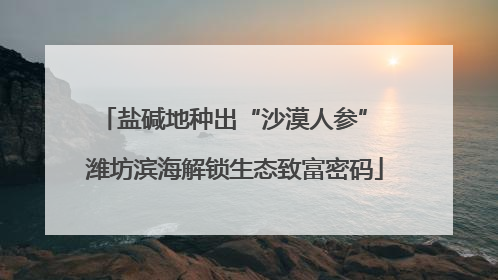 盐碱地种出“沙漠人参” 潍坊滨海解锁生态致富密码