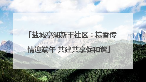 盐城亭湖新丰社区：粽香传情迎端午 共建共享促和谐