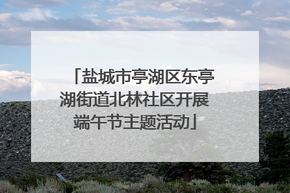 盐城市亭湖区东亭湖街道北林社区开展端午节主题活动
