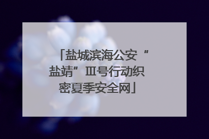 盐城滨海公安“盐靖”Ⅲ号行动织密夏季安全网