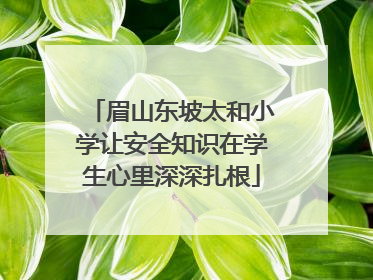眉山东坡太和小学让安全知识在学生心里深深扎根
