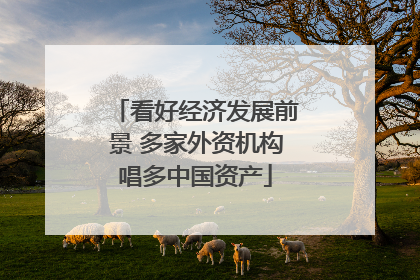 看好经济发展前景 多家外资机构唱多中国资产