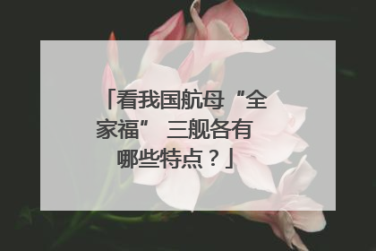 看我国航母“全家福” 三舰各有哪些特点？