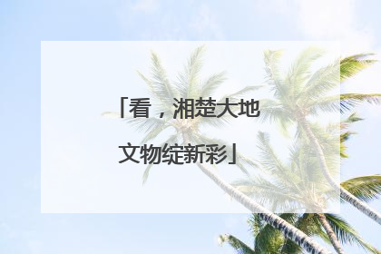 看，湘楚大地文物绽新彩