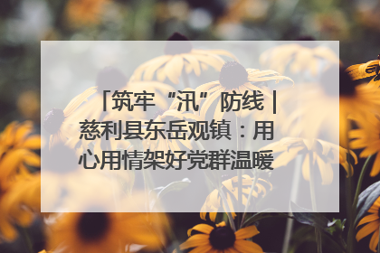 筑牢“汛”防线｜慈利县东岳观镇：用心用情架好党群温暖悠长的“连心桥”