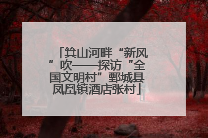 箕山河畔“新风”吹——探访“全国文明村”鄄城县凤凰镇酒店张村