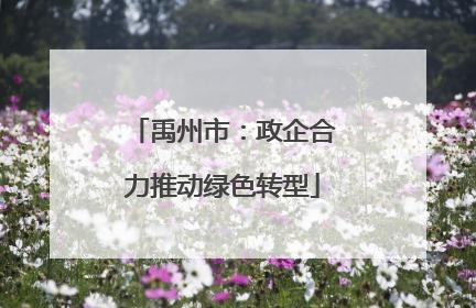 禹州市：政企合力推动绿色转型