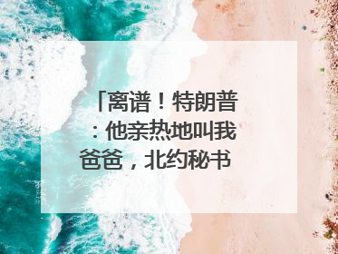 离谱！特朗普：他亲热地叫我爸爸，北约秘书长：我没有