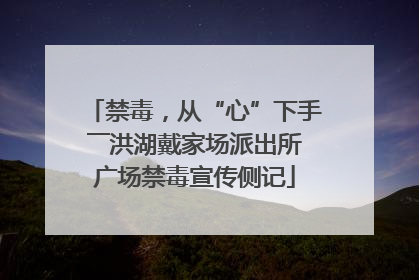 禁毒，从“心”下手――洪湖戴家场派出所广场禁毒宣传侧记