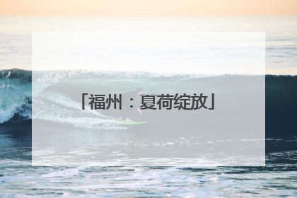 福州：夏荷绽放
