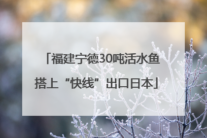 福建宁德30吨活水鱼搭上“快线”出口日本
