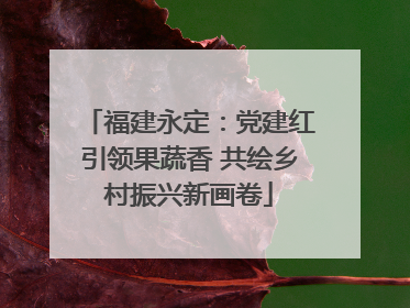福建永定：党建红引领果蔬香 共绘乡村振兴新画卷