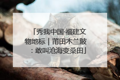 秀我中国·福建文物地标｜莆田木兰陂：敢叫沧海变桑田