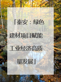 秦安：绿色建材项目赋能工业经济高质量发展