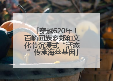 穿越620年！百崎回族乡郑和文化节沉浸式“活态”传承海丝基因