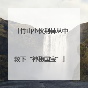 竹山小伙荆棘丛中救下“神秘国宝”
