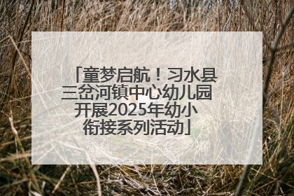 童梦启航！习水县三岔河镇中心幼儿园开展2025年幼小衔接系列活动