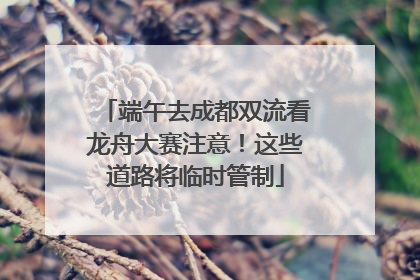 端午去成都双流看龙舟大赛注意！这些道路将临时管制