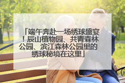 端午奔赴一场绣球盛宴！辰山植物园、共青森林公园、滨江森林公园里的绣球秘境在这里