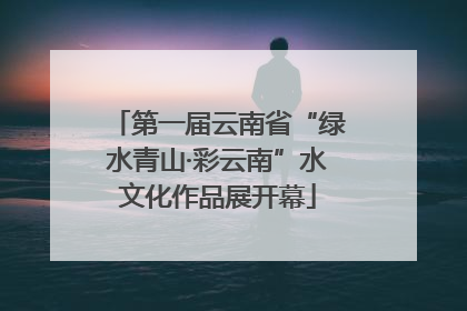 第一届云南省“绿水青山·彩云南”水文化作品展开幕