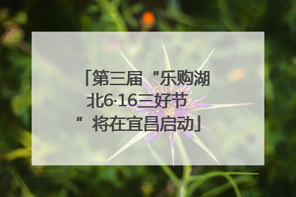第三届“乐购湖北6·16三好节”将在宜昌启动