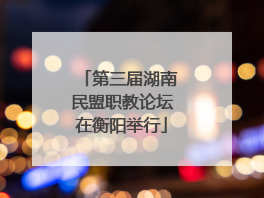 第三届湖南民盟职教论坛在衡阳举行