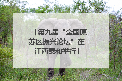 第九届“全国原苏区振兴论坛”在江西泰和举行