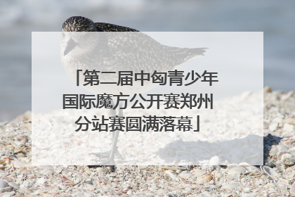 第二届中匈青少年国际魔方公开赛郑州分站赛圆满落幕