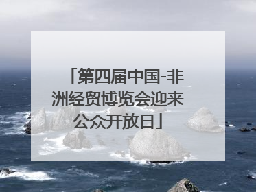 第四届中国-非洲经贸博览会迎来公众开放日