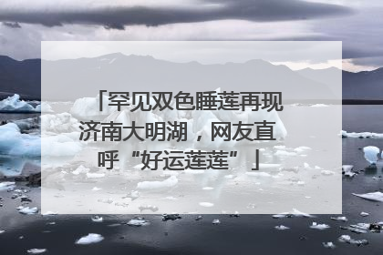 罕见双色睡莲再现济南大明湖，网友直呼“好运莲莲”