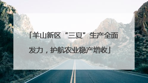 羊山新区“三夏”生产全面发力，护航农业稳产增收
