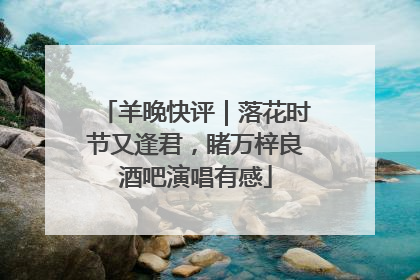 羊晚快评｜落花时节又逢君，睹万梓良酒吧演唱有感