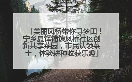 美丽凤桥带你寻梦田！宁乡夏铎铺镇凤桥社区创新共享菜园，市民认领菜土，体验耕种收获乐趣