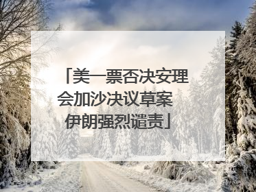 美一票否决安理会加沙决议草案 伊朗强烈谴责