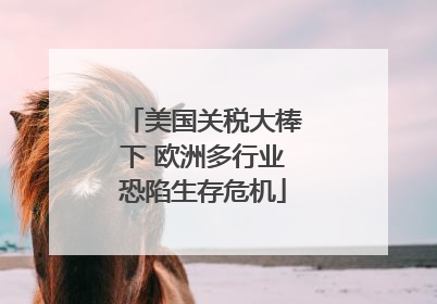 美国关税大棒下 欧洲多行业恐陷生存危机