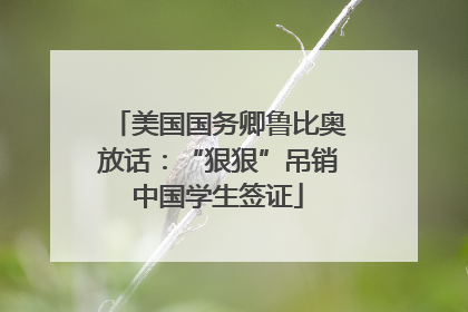 美国国务卿鲁比奥放话:“狠狠”吊销中国学生签证
