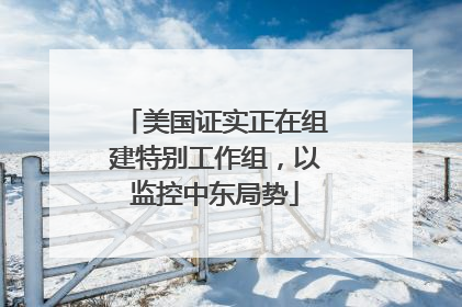 美国证实正在组建特别工作组，以监控中东局势