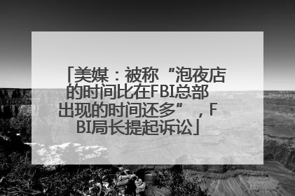 美媒：被称“泡夜店的时间比在FBI总部出现的时间还多”，FBI局长提起诉讼