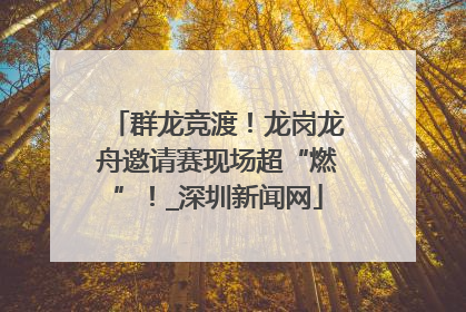 群龙竞渡！龙岗龙舟邀请赛现场超“燃”！_深圳新闻网
