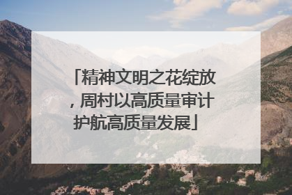 精神文明之花绽放，周村以高质量审计护航高质量发展