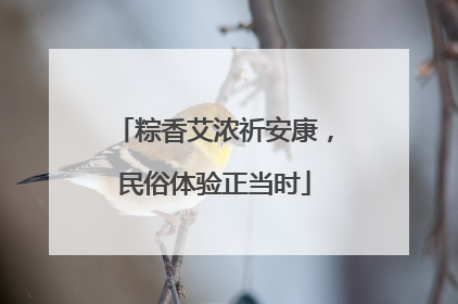 粽香艾浓祈安康，民俗体验正当时