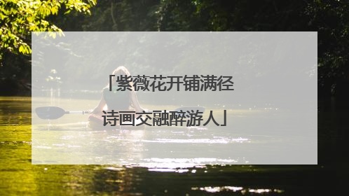 紫薇花开铺满径 诗画交融醉游人